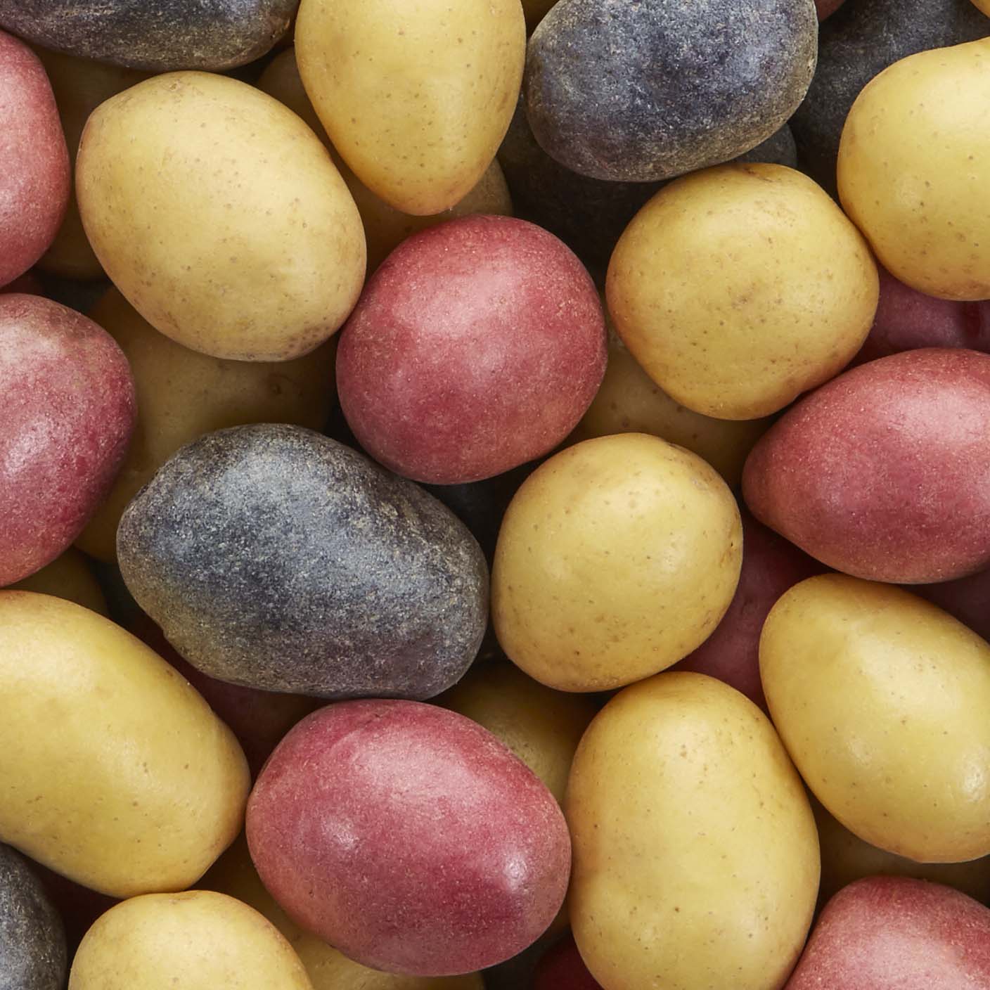 Read more about the article Bite-size potatoes for Thanksgiving