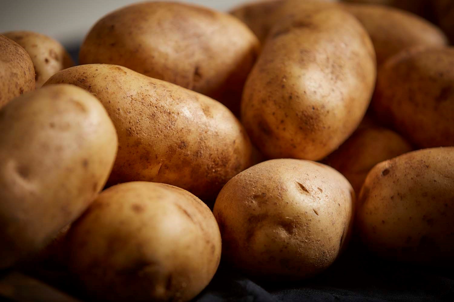 Read more about the article A free education-a free potato education.