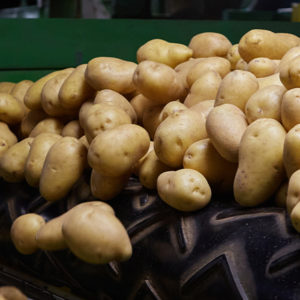 Read more about the article A buttery, sweet, yellow potato education