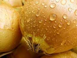 Wet Yellow Onion