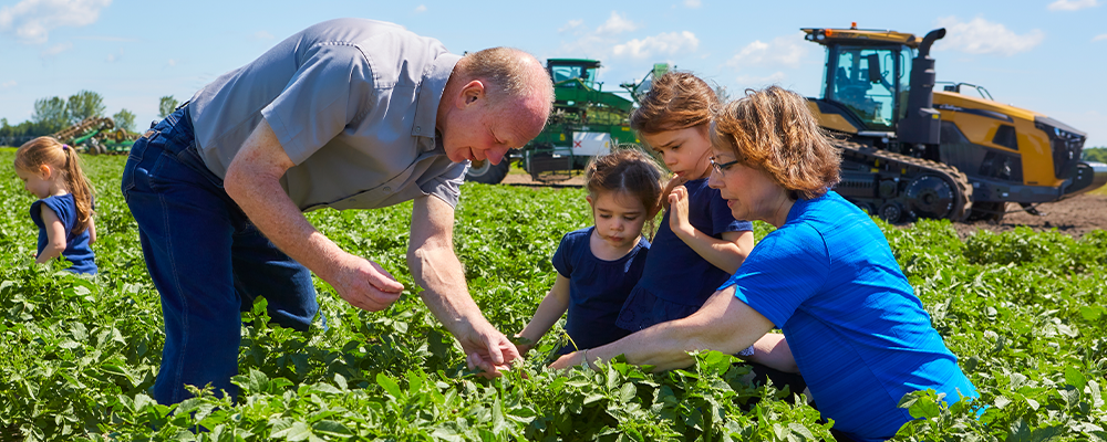 Grandparents with Grandkids in a potato field