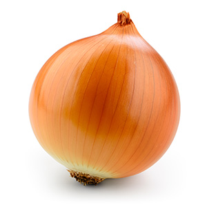 Single Yellow Onion