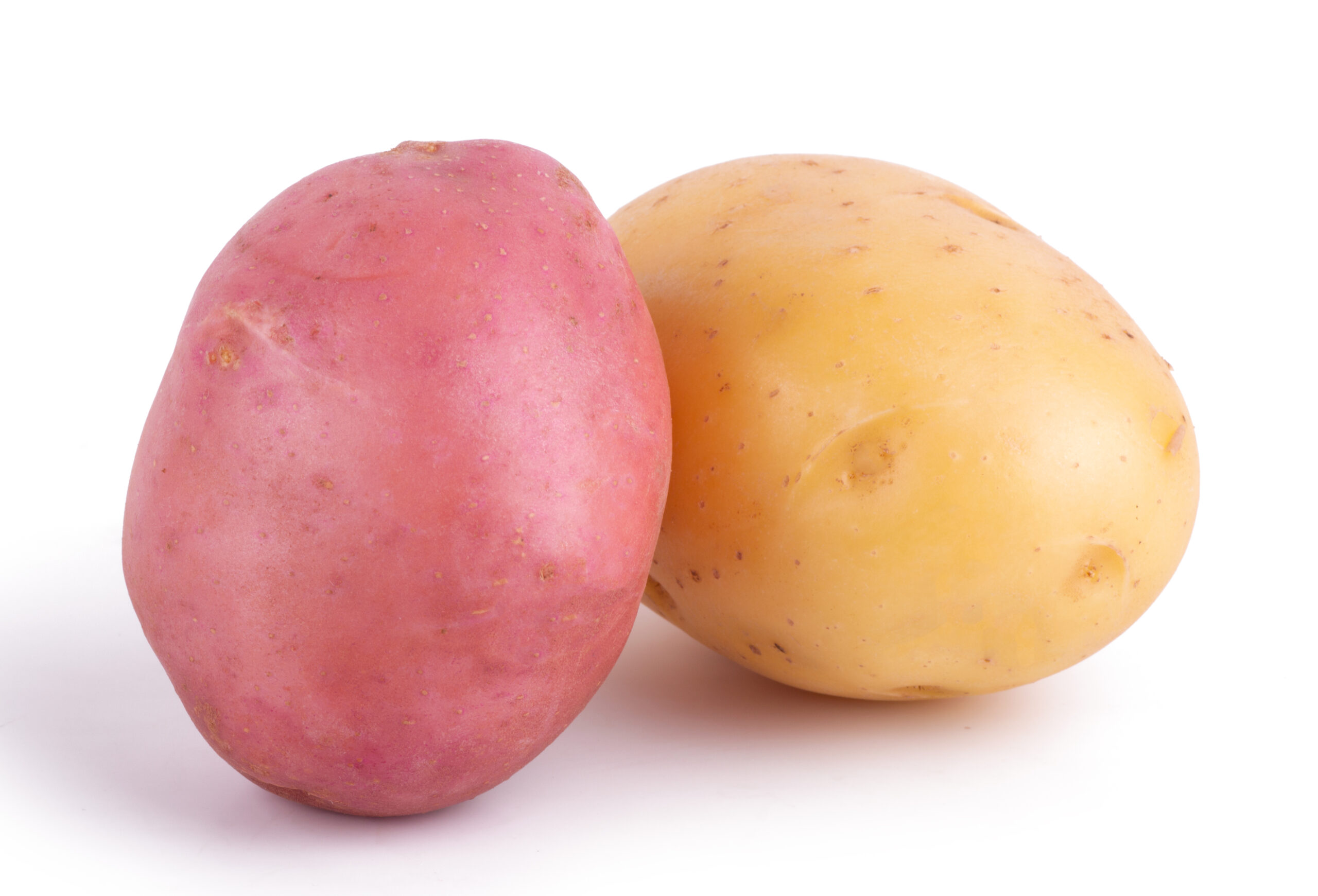 Raw red and yellow potato