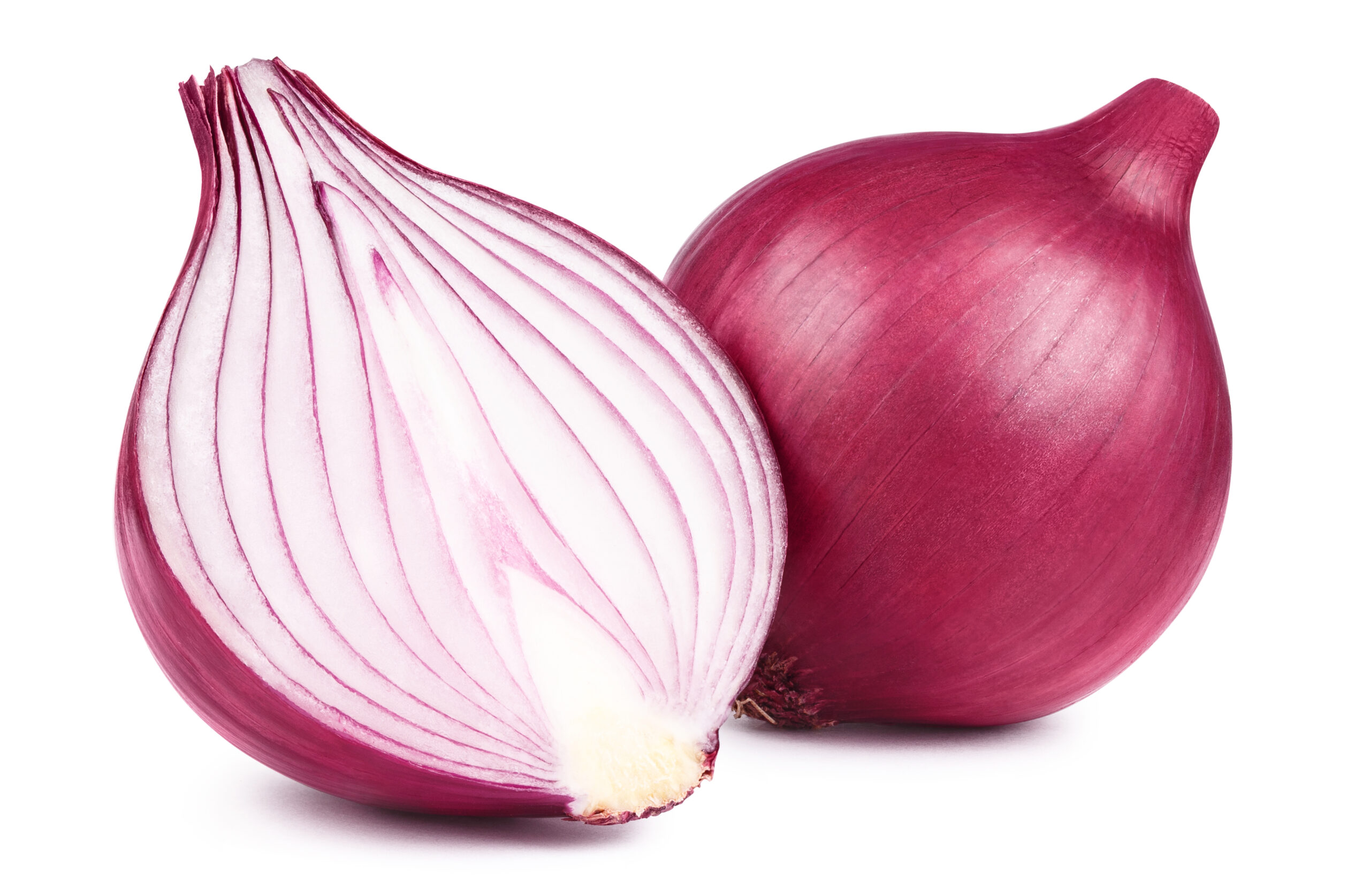 Raw Onion cut in half