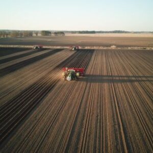 Planting Potatoes Spring 2023