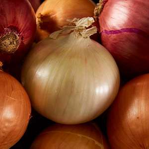 Raw three color onions