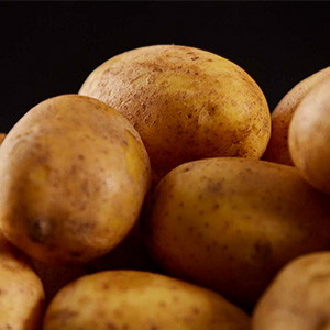 Raw yellow potatoes