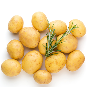 Potato Update