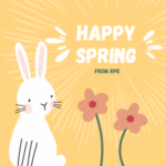 Read more about the article Happy Spring from RPE! 🐰🐣🥕